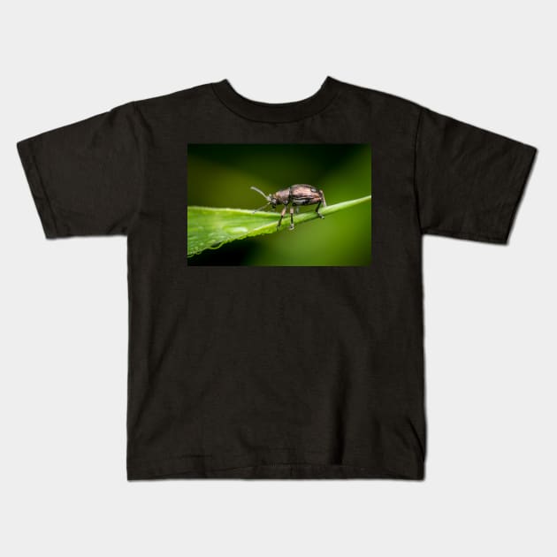 A metallic leaf beetle (Nodina sp) on a leaf with morning dew Kids T-Shirt by AvonPerception